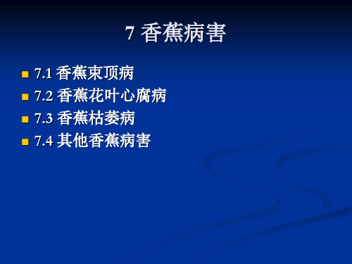 7 香蕉病害 (NXPowerLite)  果蔬病害教学课件