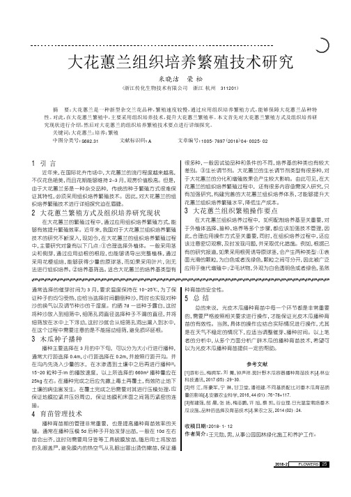 大花蕙兰组织培养繁殖技术研究