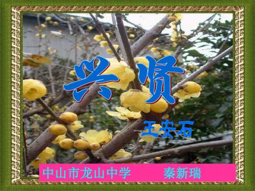 高二语文兴贤(2019年)