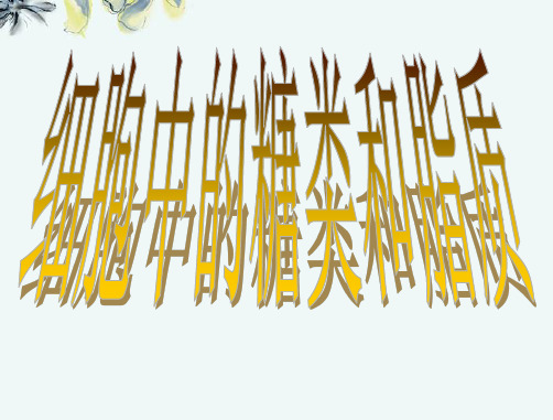 细胞中的糖类和脂质
