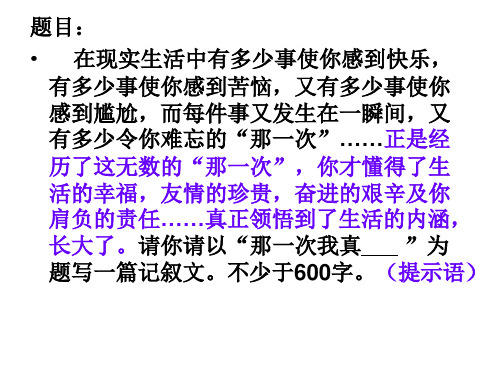 作文指导《那一次-我真》