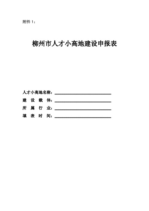 广西柳州市人才小高地建设申报表