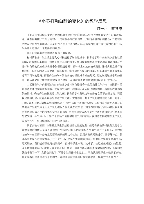 小苏打和白醋的变化的教学反思