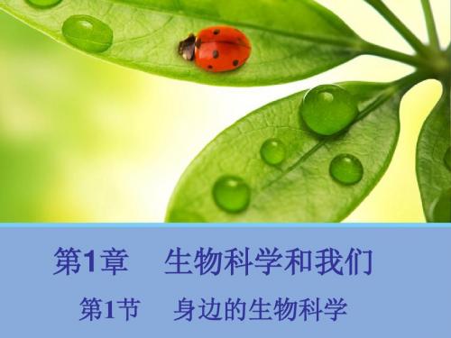 【生物】1.1+身边的生物科学1(苏教版必修3)