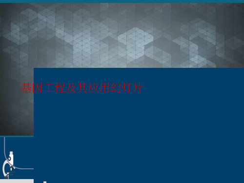 基因工程及其应用幻灯片