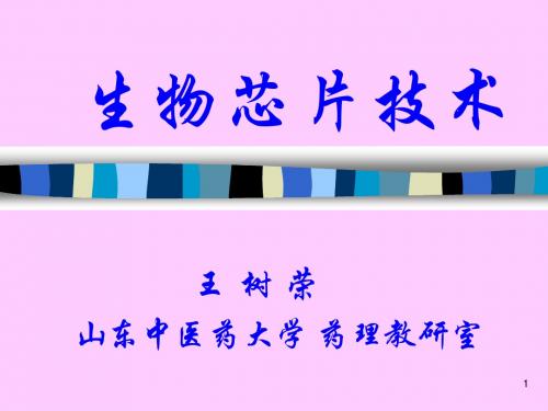 生物芯片技术