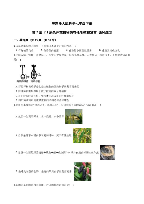 第7章 7-1绿色开花植物的有性生殖和发育 课时练习——2023-2024学年华东师大版科学七年级