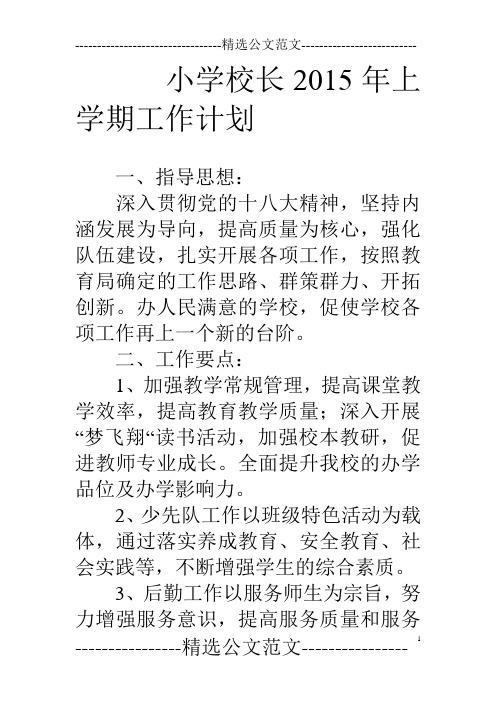 小学校长15年上学期工作计划