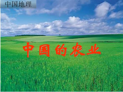 中国的农业(上课)
