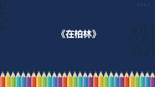 部编版六年级语文上册《在柏林》课件