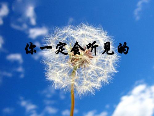 初中语文《你一定会听见的》(共15张)ppt120