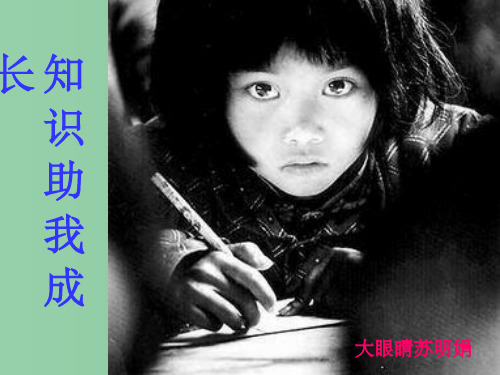 八年级政治下册《知识助我成长》课件 新人教版