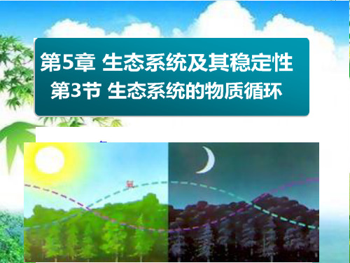 人教版高中生物必修三第5章第3节 生态系统的物质循环 课件(共18张PPT)精选优质 课件