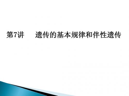 2019一轮二轮第7讲遗传的基本规律
