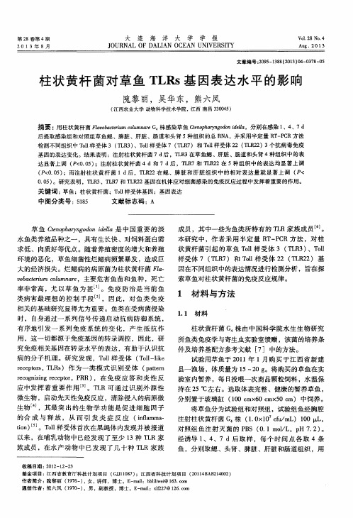 柱状黄杆菌对草鱼TLRs基因表达水平的影响
