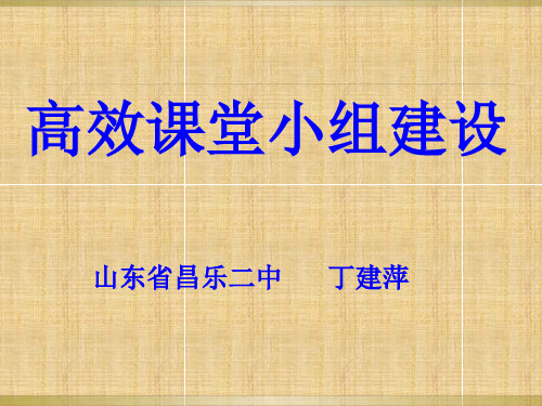 丁建萍小组建设课件精编版