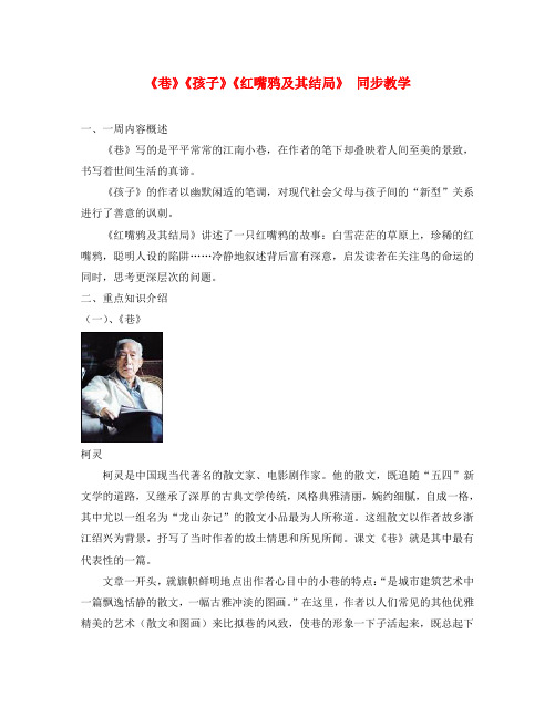 九年级语文《巷》《孩子》《红嘴鸦及其结局》 同步教学人教四年制(通用)