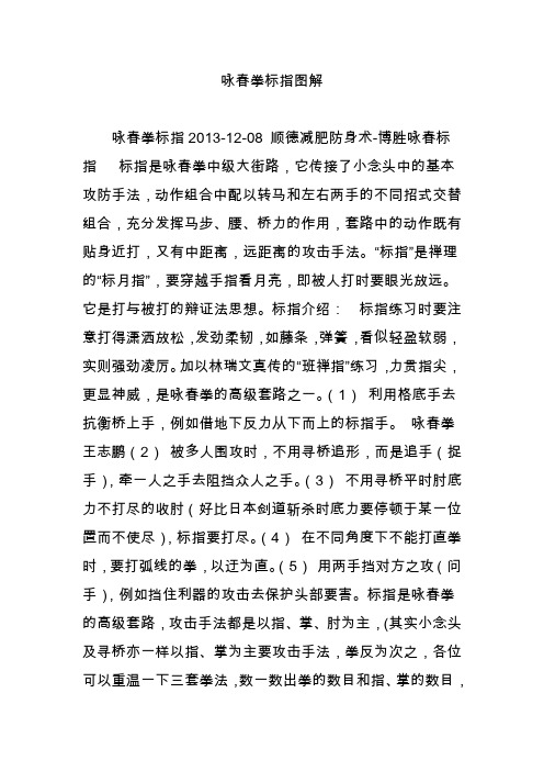 咏春拳标指图解