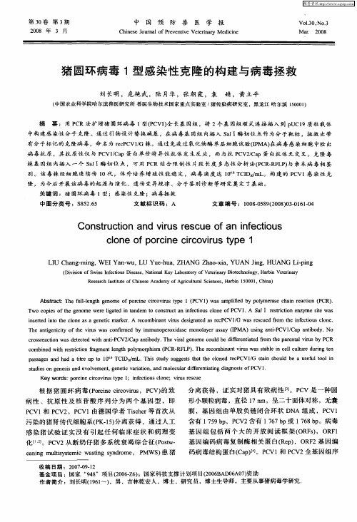 猪圆环病毒1型感染性克隆的构建与病毒拯救
