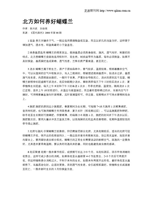 北方如何养好蝴蝶兰