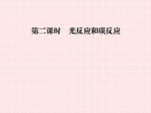 3.5.2光反应和碳反应课件(浙科版必修1)