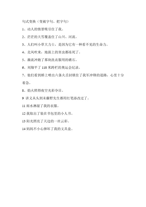 句式变换(被字句、把字句)