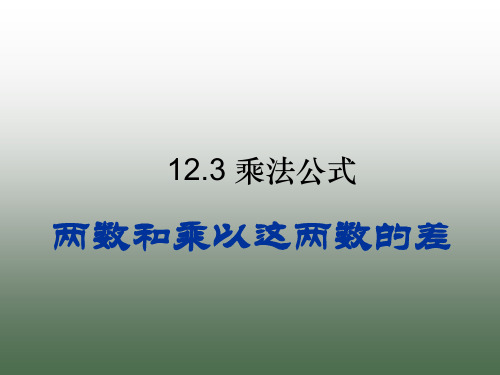 12.3乘法公式(1)