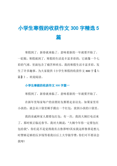 小学生寒假的收获作文300字精选5篇