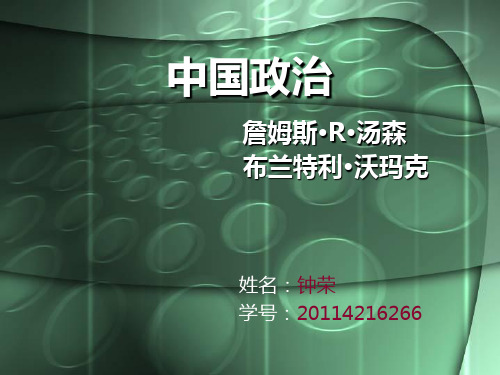 中国政治ppt