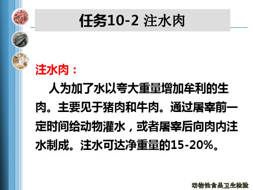 任务10-2.3.4市场肉品检验
