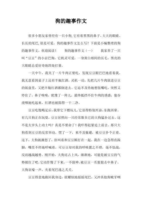狗的趣事作文