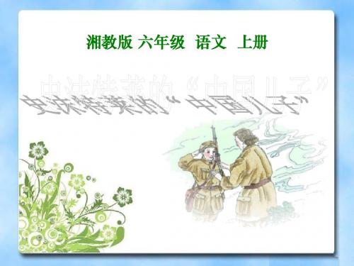 《史沫特莱的“中国儿子”》PPT精品教学课件2