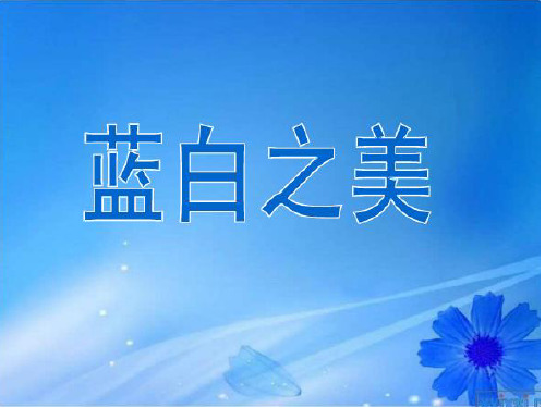 蓝白之美课件