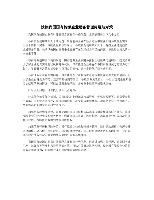 浅议我国国有能源企业财务管理问题与对策