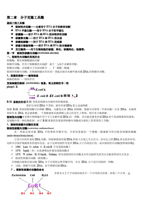 基因工程复习资料