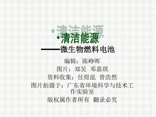 微生物燃料电池