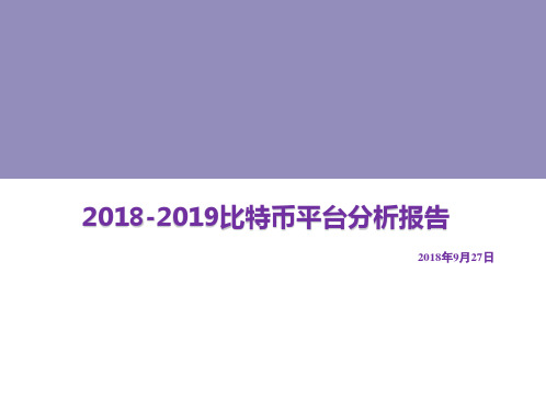 2018-2019比特币平台分析报告
