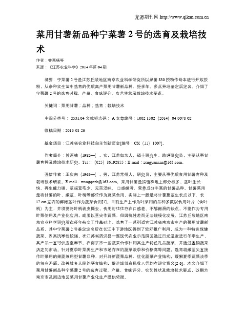 菜用甘薯新品种宁菜薯2号的选育及栽培技术