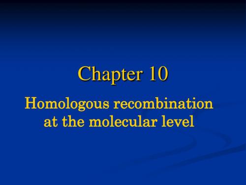《分子生物学》5 chapter 10-40页PPT文档资料
