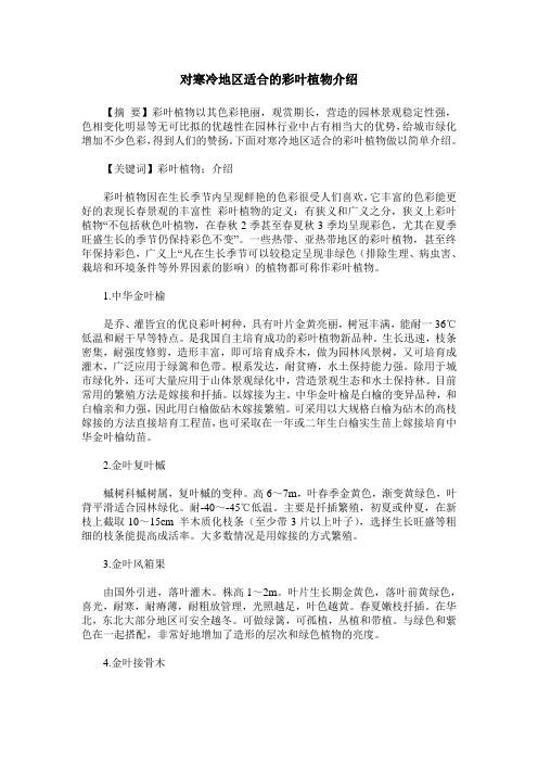 对寒冷地区适合的彩叶植物介绍