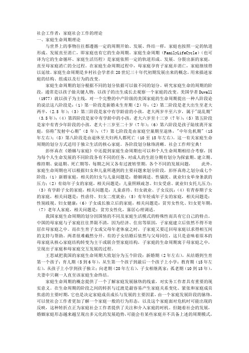 社会工作者：家庭社会工作的理论 
