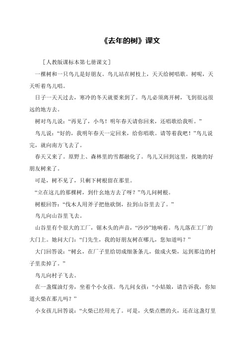 《去年的树》课文