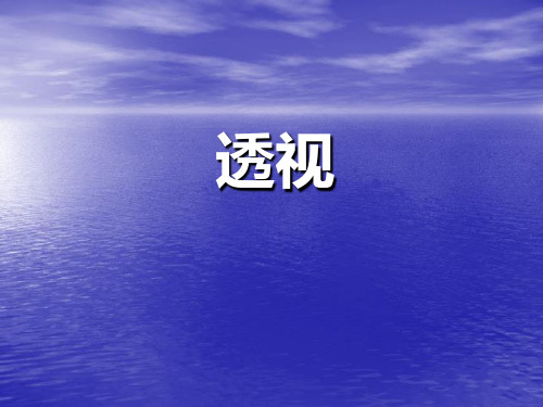 第一章  透视的定义和基本术语