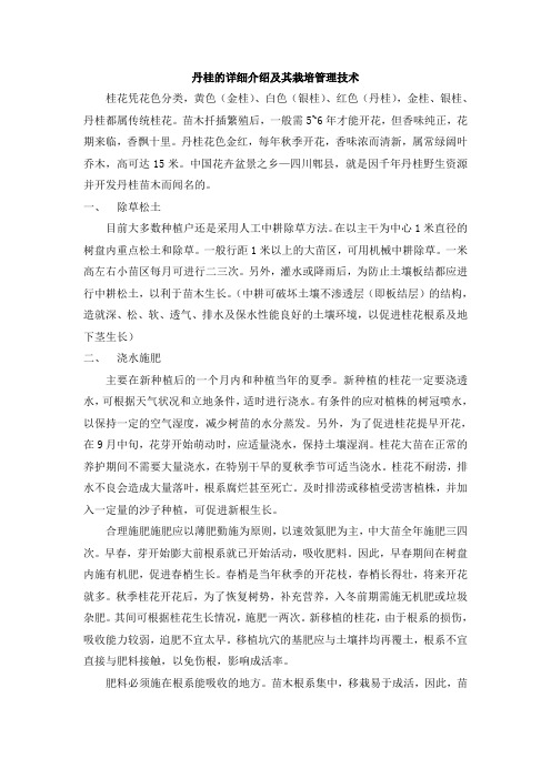 丹桂的详细介绍及其栽培管理技术