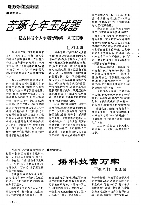 苦琢七年玉成器——记吉林省个人水稻育种第一人王玉琢