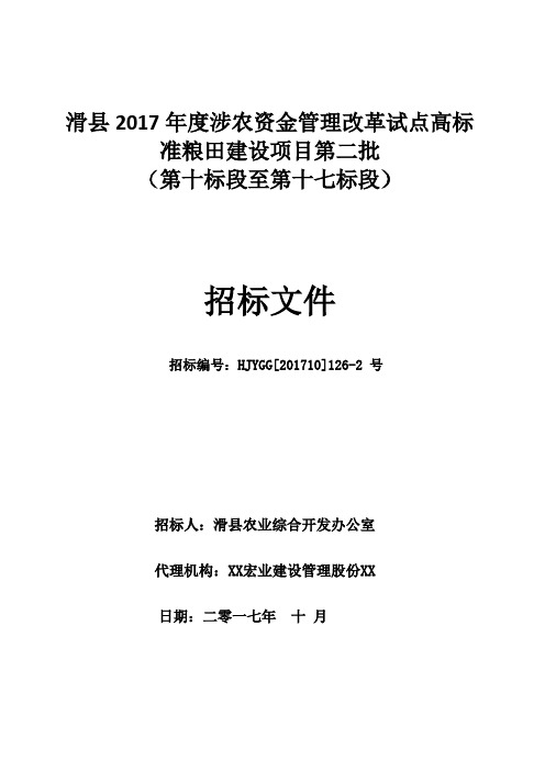 17标招标文件
