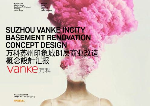 万科XX项目复盘改造方案