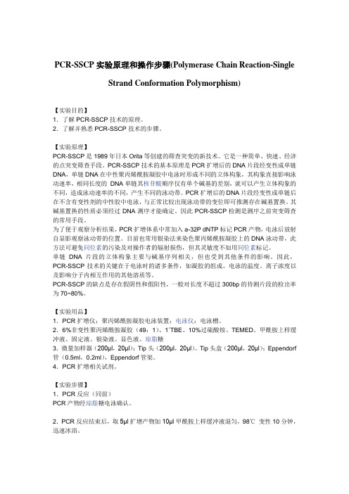 PCR-SSCP实验原理和操作步骤