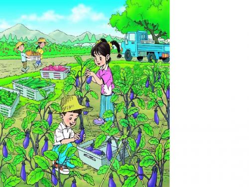 3菜园里ppt课件2