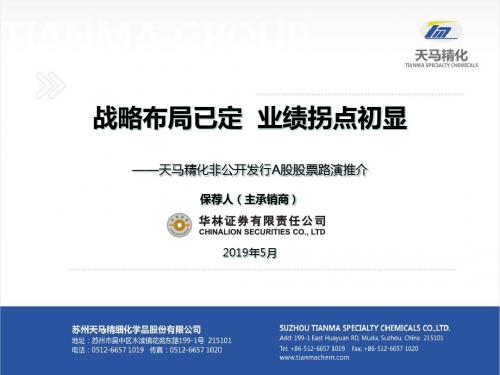 战略布局已定业绩拐点初显天马精化非公开发行A股股票-PPT课件